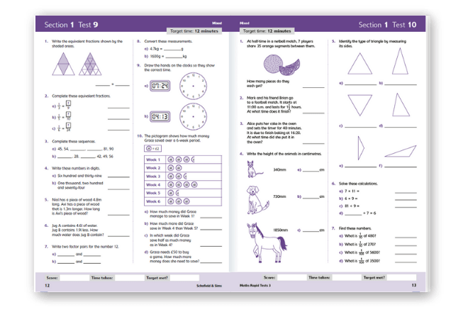 11 maths rapid test 3 sample page